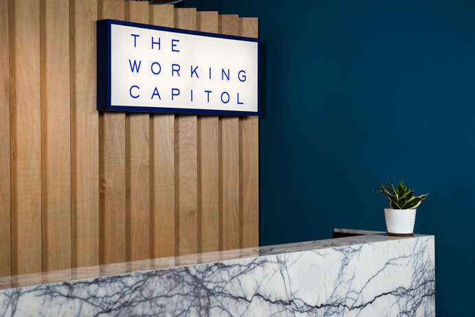 the working capitol branding #design #branding #colour #blue #simple