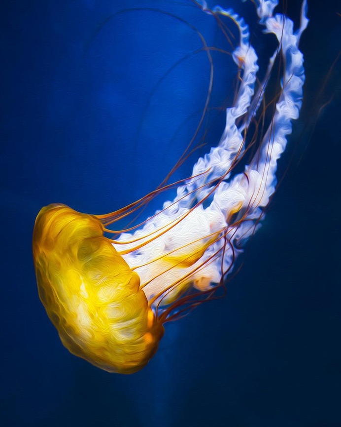 easy jellyfish painting & jellyfish paint by numbers #painting