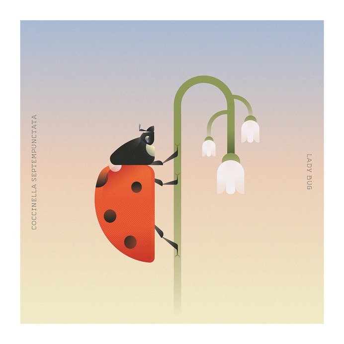 Behance :: For You