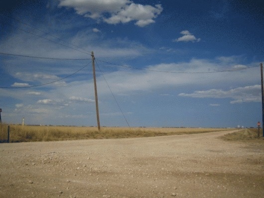 tumbleweed.gif (GIF-Grafik, 800x600 Pixel) #tumbleweed