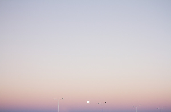 Luciana L. Schütz | PICDIT