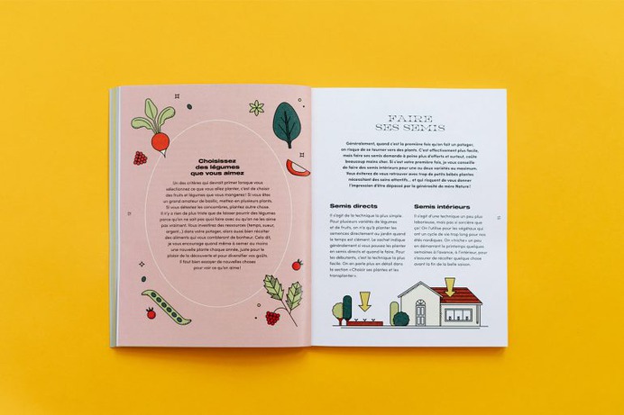 Vegetable garden box