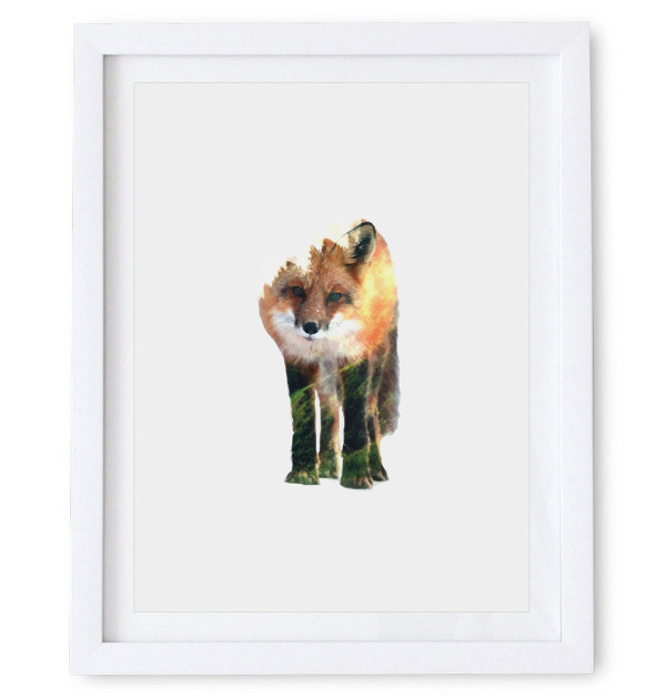 Red Fox Poster. Available as a high resolution print quality digital download