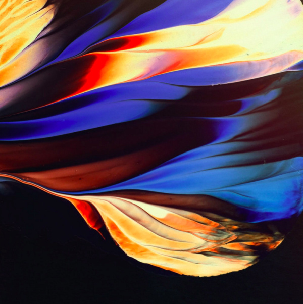 Jim LePage | PICDIT