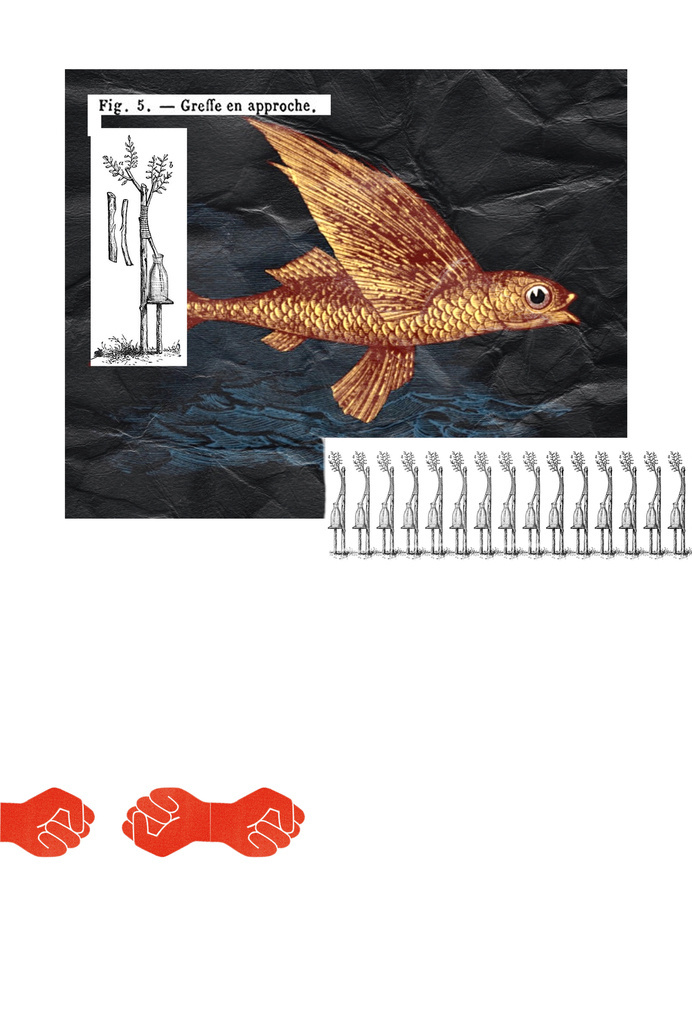 marchbank.us 13.2 #tree #design #poster #fish