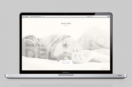 El Perro Del Mar | johan hammarström #digital #homepage #web