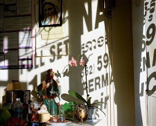 Amanda Kho #photography #shadow