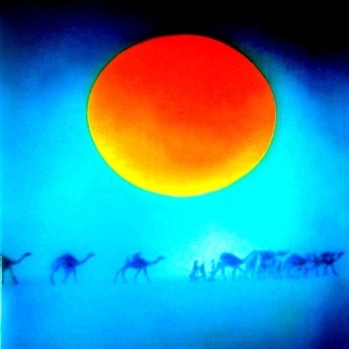 {[(∞)]} #colors #caravan #desert