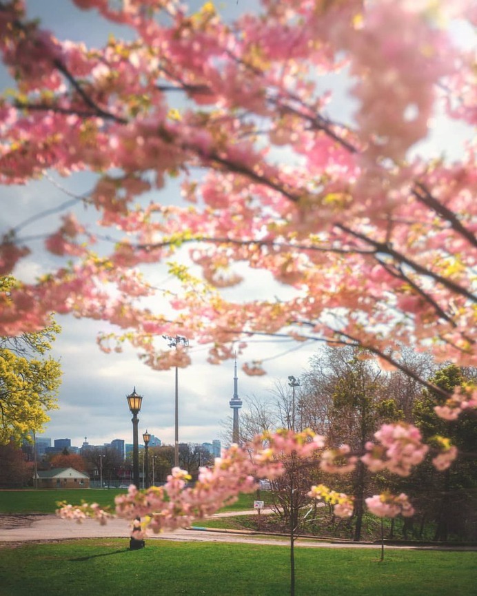 Wonderful Cityscapes and Landscapes in Toronto by Argen Elezi