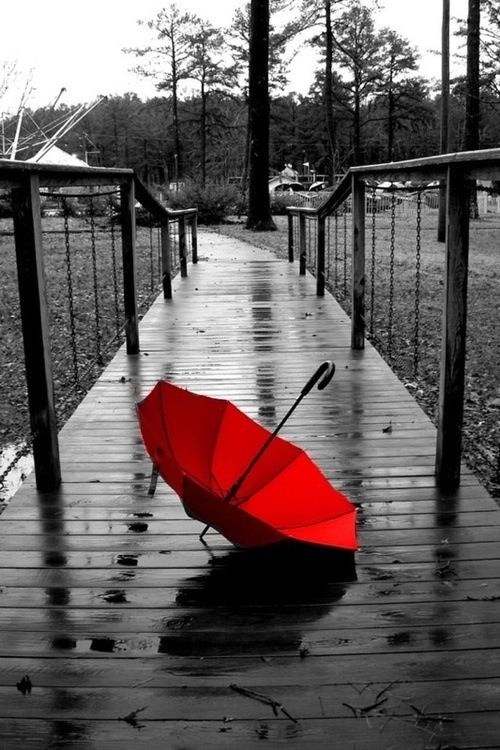 #photography#black#umbrella#Rain#Red