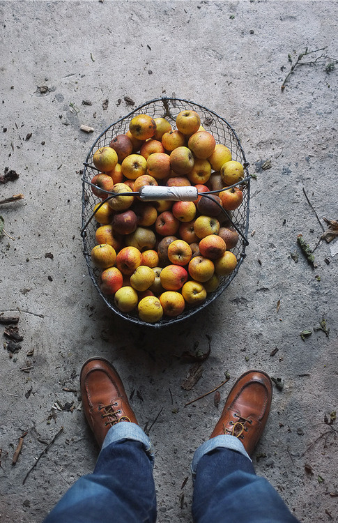 Likes | Tumblr #floor #shoes #apples #basket