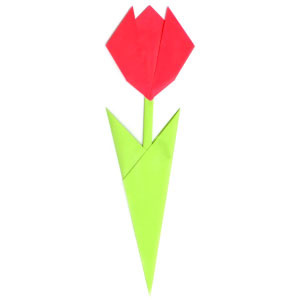 How to make an easy origami tulip with two leaves (http://www.origami-flower.org/howto-origami-tulip.php)