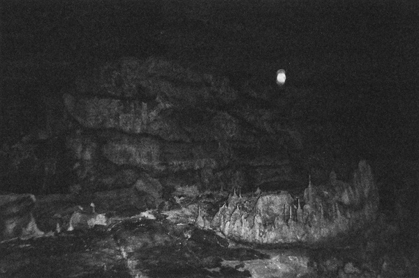 Foragepress.com | Kim Winderman #photography #dark #black