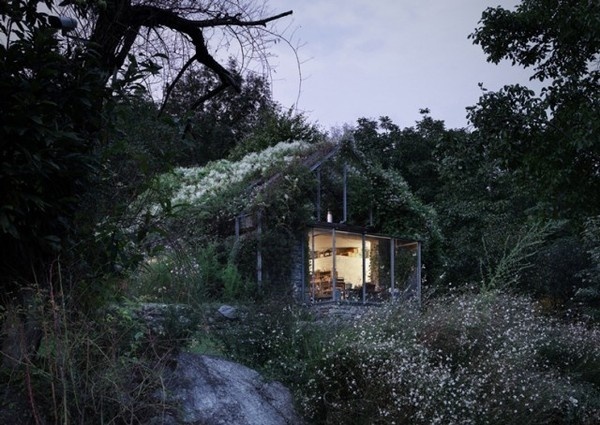 Greenbox House4 #nature #architecture #house #home