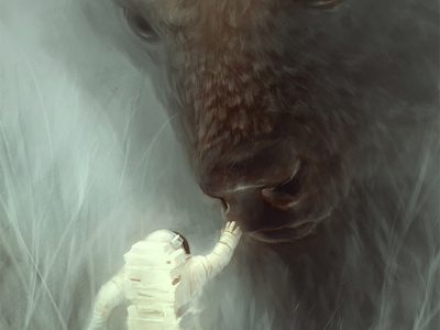 Encounter #illustration #buffalo
