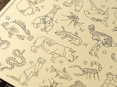 Dribbble - Animals from A - Z by Curtis Jinkins #zodiac #a #print #poster #z #to