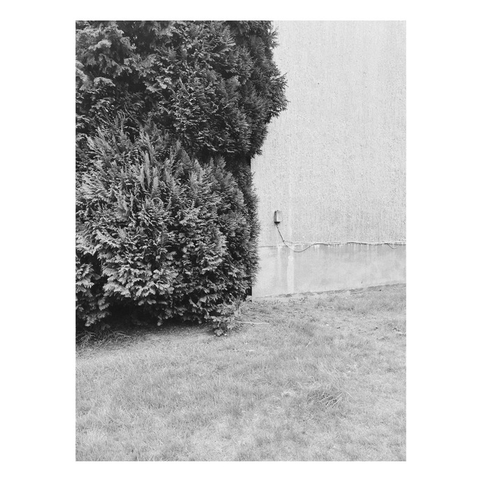 #halfandhalf PHOTOGRAHIE © [ catrin mackowski ]