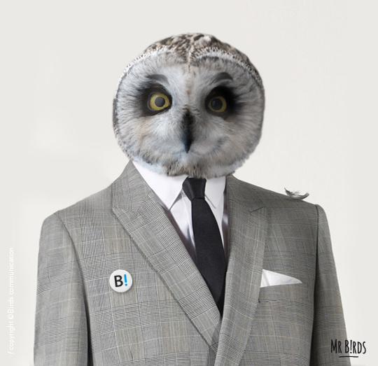 "Mr B!rds for president" Birds communication agency (Toulouse FRANCE)link #owl #photo #head #bird #formal #manipulation #collage #suit