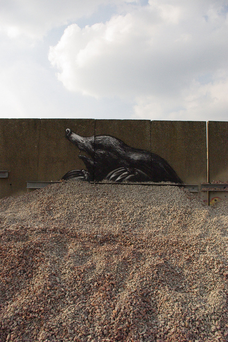 Roa's Work #roa