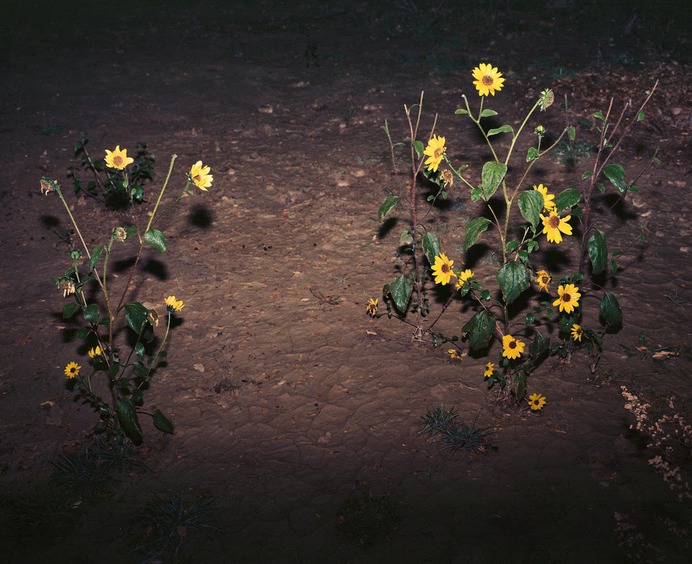 Photographer Spotlight: Halley Roberts – BOOOOOOOM! – CREATE * INSPIRE * COMMUNITY * ART * DESIGN * MUSIC * FILM * PHOTO * PROJECTS