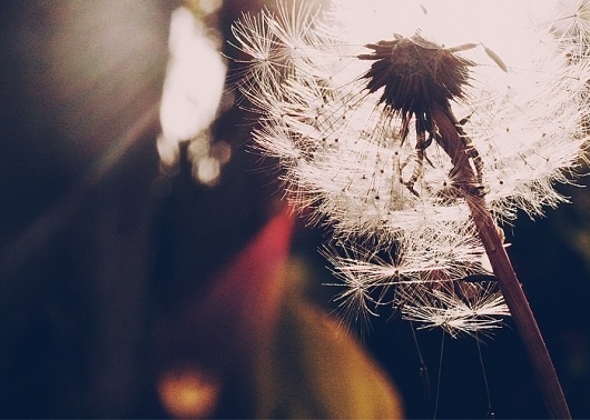 These Days #photography