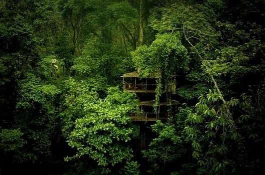Finca Bellavista Tree Houses, Costa Rica » Design You Trust #wood #photography #house