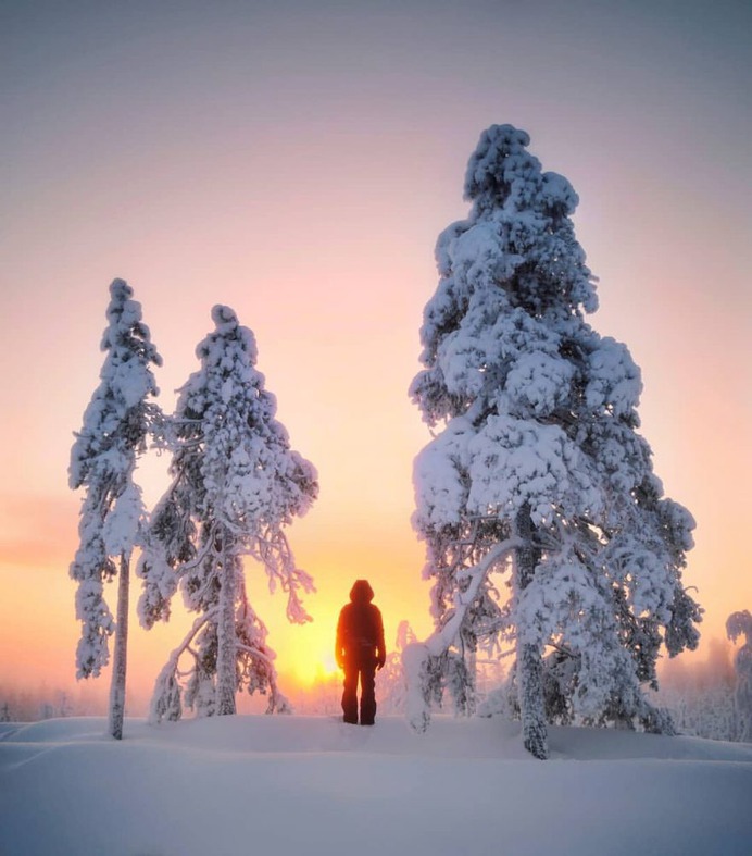 Mesmerizing Winter Wonderland Photos of Lapland in Finland