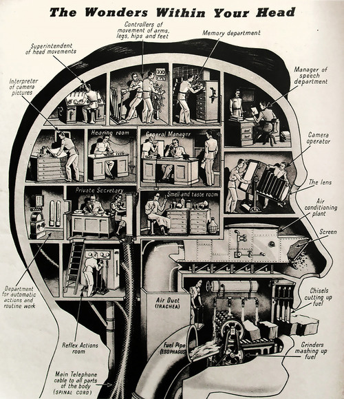 this isn't happiness™ photo caption contains external link #mind #infographic #office #head #brain #illustration