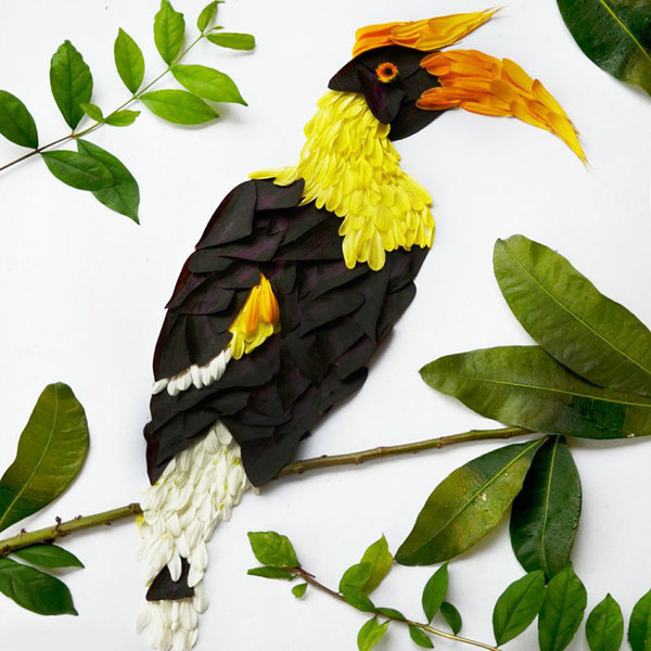 red hong yi flower bird series designboom #illustration #hornbill #flowers #bird
