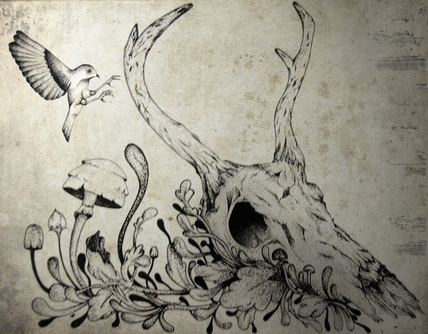 entre o sublime e o trágico #deer #ink #draw #bird #illustration #mushrooms #skull