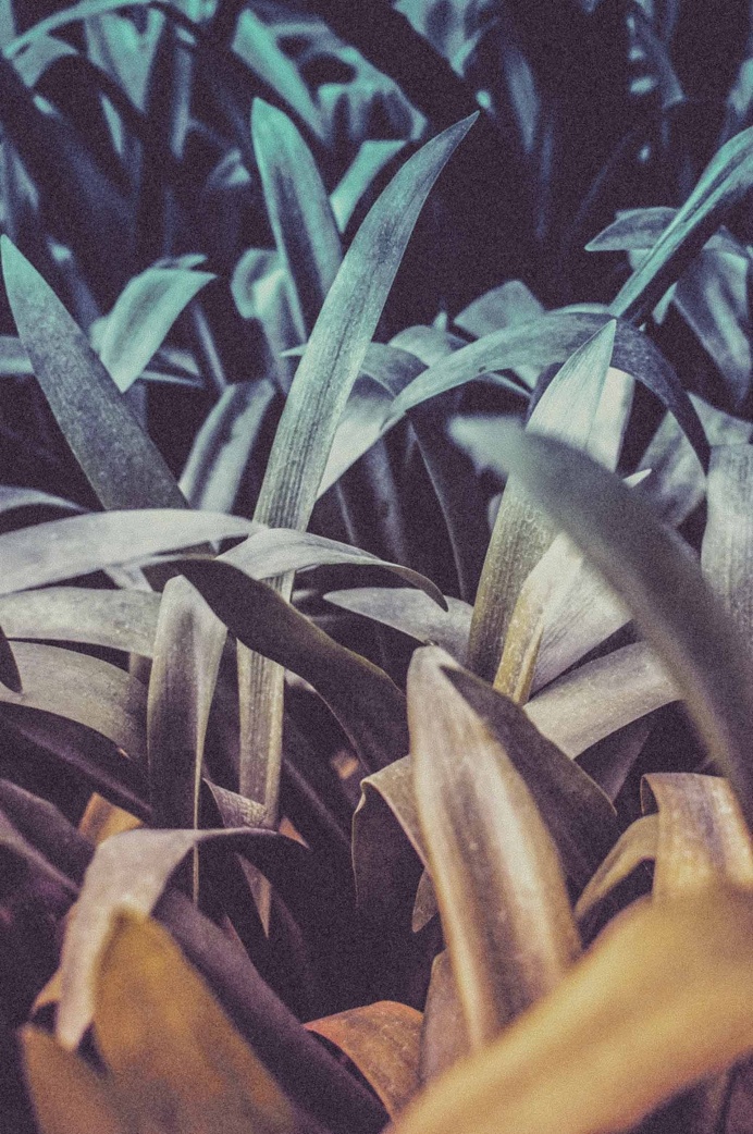 #flora #nordic #stockholm