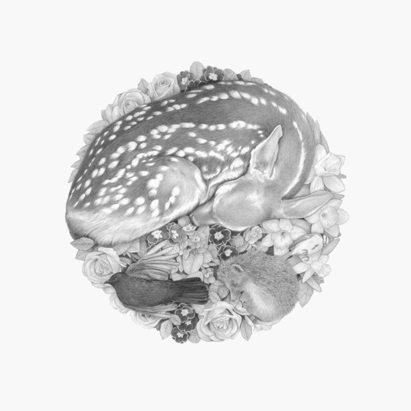 Wreath | Denise Nestor #deer #bird #nature #hedgehog #drawing