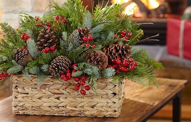 Fill a basket with greenery, pinecones, and dried berries for a centerpiece or decoration bursting with yuletide cheer. #christmas #diy #holiday