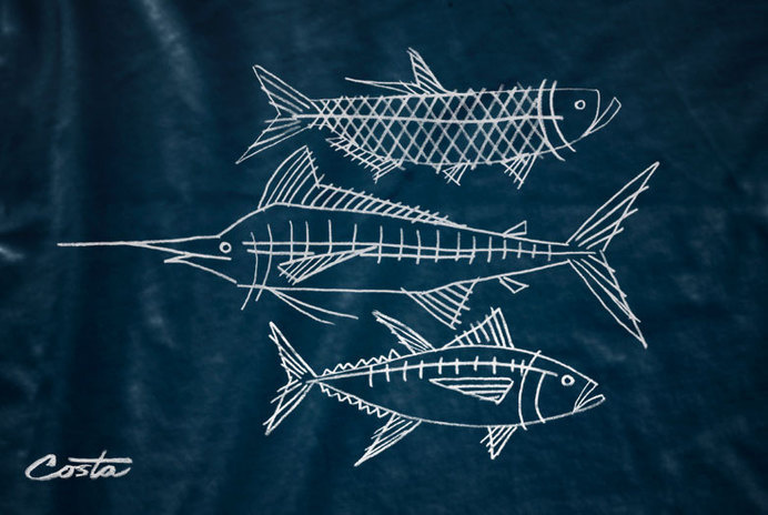 Karl Hebert's Design Work #illustration #fish #tshirt