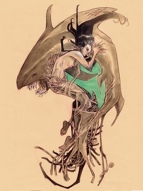 Tumblr #women #illustration #shark