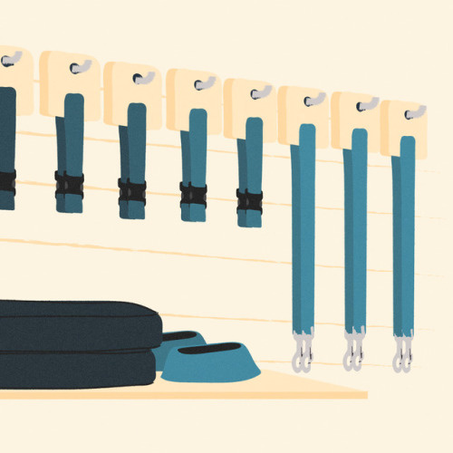 Dog Store illustration by Dvir Nahmany