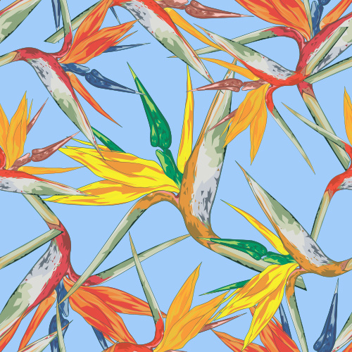 Bird of Paradise #tropical #of #paradise #poland #bird #flower #ukraine