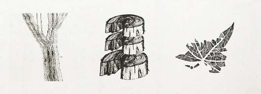 Paisaje Taquigráfico on the Behance Network #diego #ink #pinzon #book #illustration #nature #diary #editorial