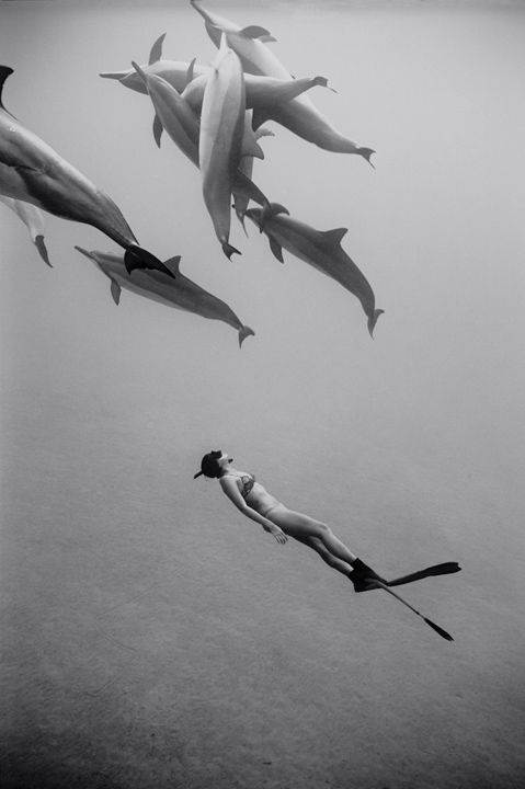 fish, scuba diver #under #white #water #black #photography #and