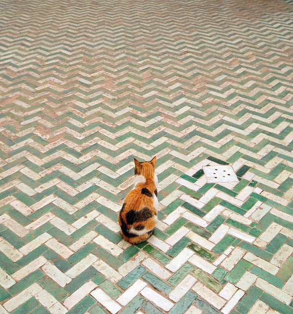 photo #tiles
