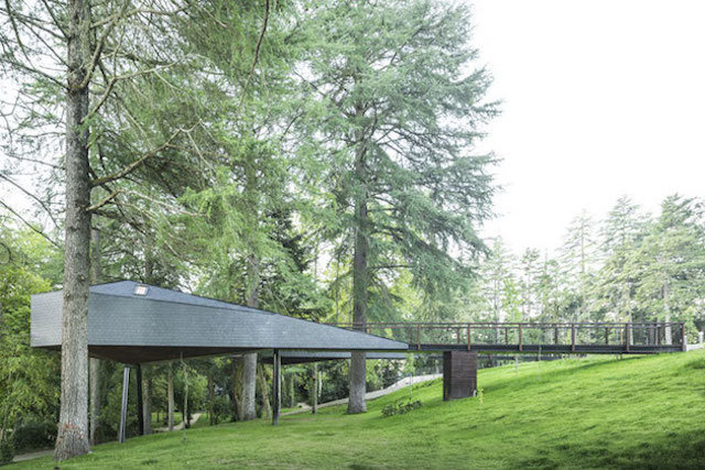 treesnakehouse-8 #architecture #house #tree
