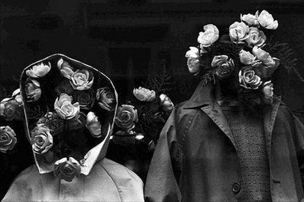 10.1.13 #flowers