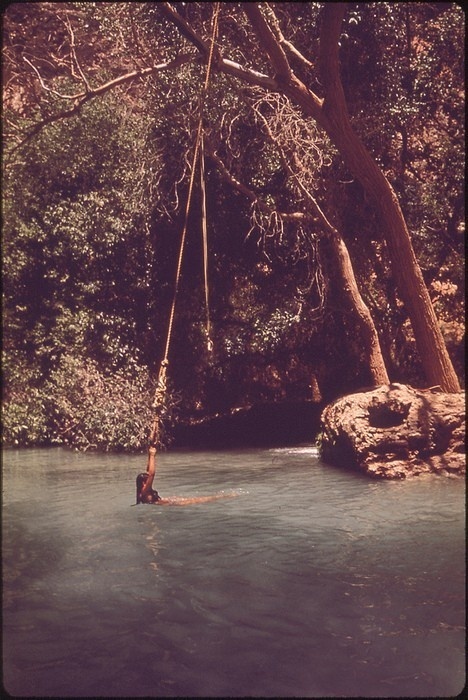 rope swing #water #girl #calm #summer #swing