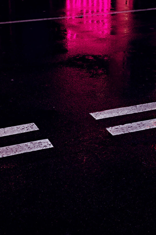 Fabrizio Raschetti | PICDIT