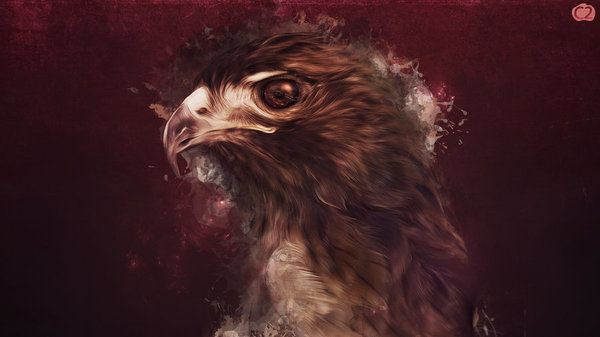 Hawk by ~check2cc on deviantART #of #prey #bird #beak #illustration #painting #hawk #animal #beauty