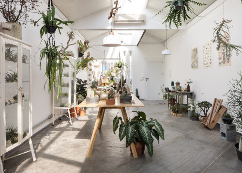 atelier / studio