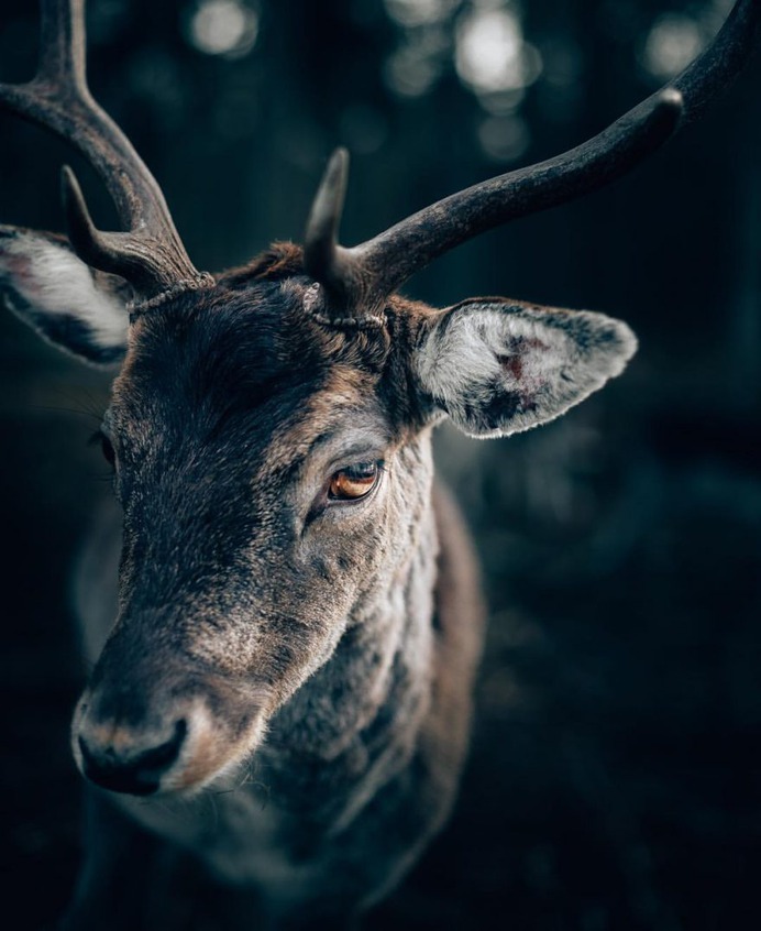 Stunning Adventure and Outdoor Photography by Philipp Pilz