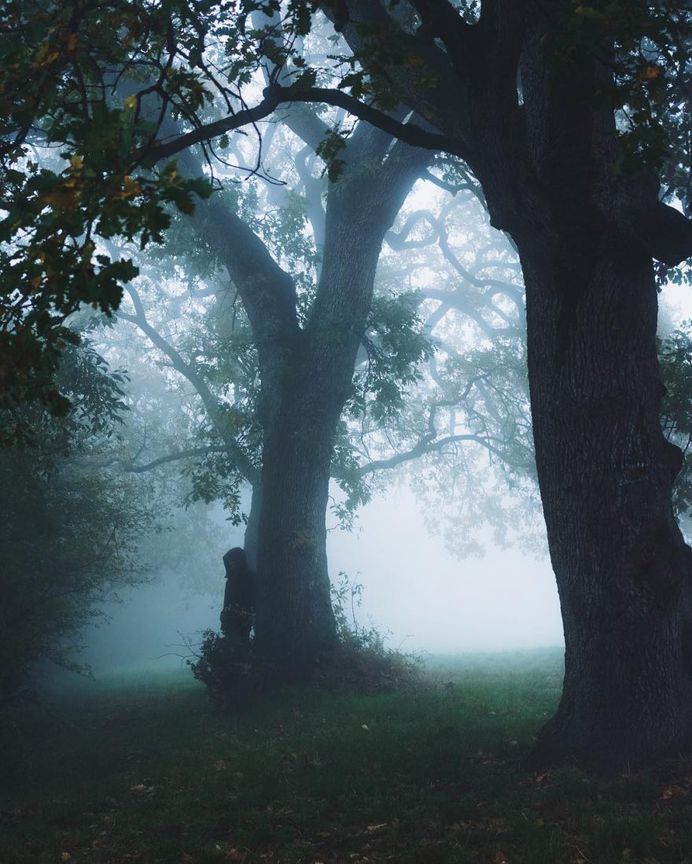 Moody Mountains and Foggy Forests: Adventures by Alessio Lin