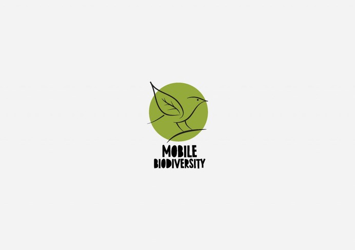 Branding, Logos and Graphic Design