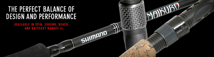 Choosing the right rod is more than important. Choosing spinning rod would be the right choice for every angler.